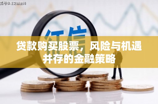 士林贷款购买股票，风险与机遇并存的金融策略