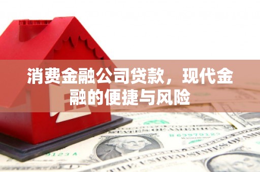 士林消费金融公司贷款，现代金融的便捷与风险