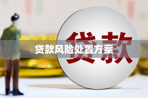 士林贷款风险处置方案