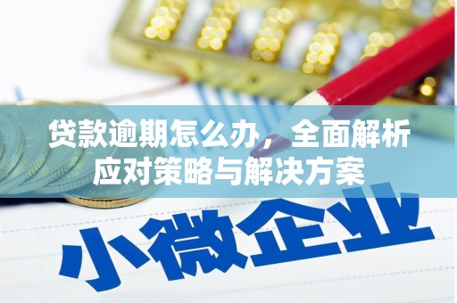 士林贷款逾期怎么办，全面解析应对策略与解决方案