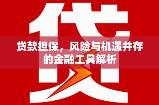 士林贷款担保，风险与机遇并存的金融工具解析