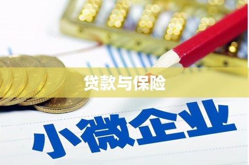 士林贷款与保险