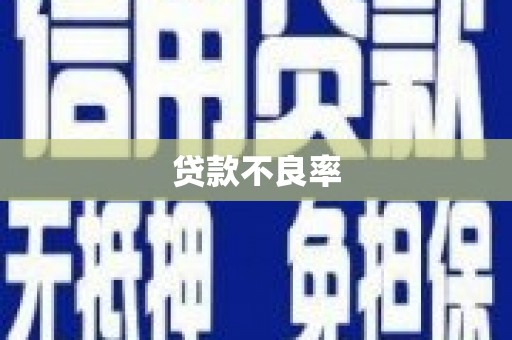 士林贷款不良率