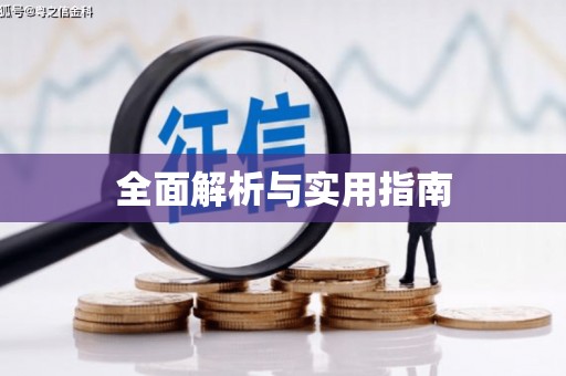 士林全面解析与实用指南