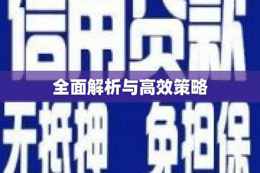 士林全面解析与高效策略