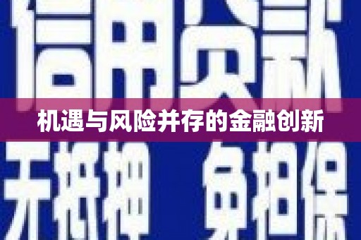 士林机遇与风险并存的金融创新