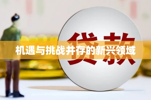士林机遇与挑战并存的新兴领域