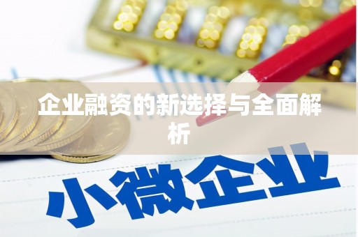 士林企业融资的新选择与全面解析