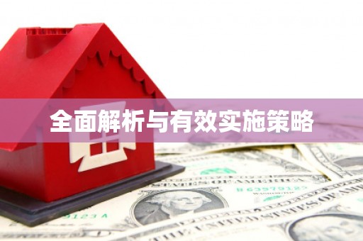 士林全面解析与有效实施策略
