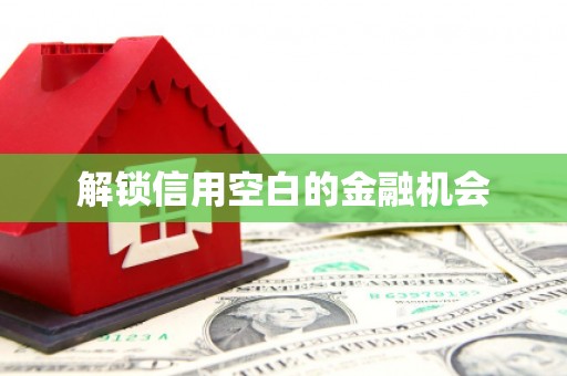 士林解锁信用空白的金融机会