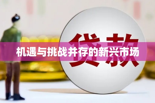 士林机遇与挑战并存的新兴市场