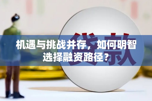 士林机遇与挑战并存，如何明智选择融资路径？