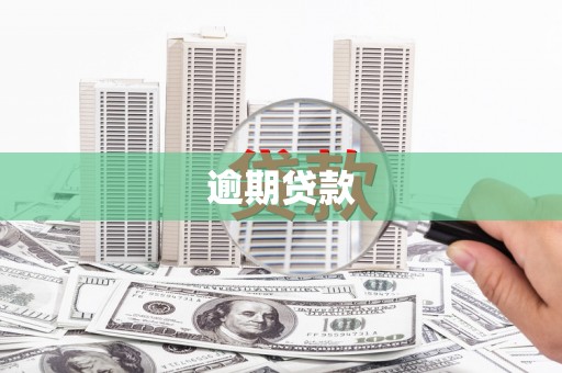 士林逾期贷款