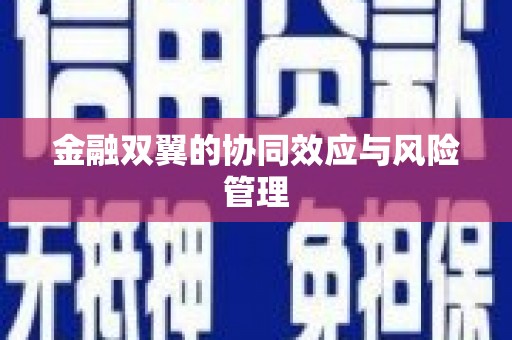 士林金融双翼的协同效应与风险管理