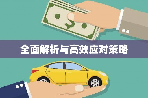 士林全面解析与高效应对策略