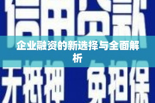 士林企业融资的新选择与全面解析