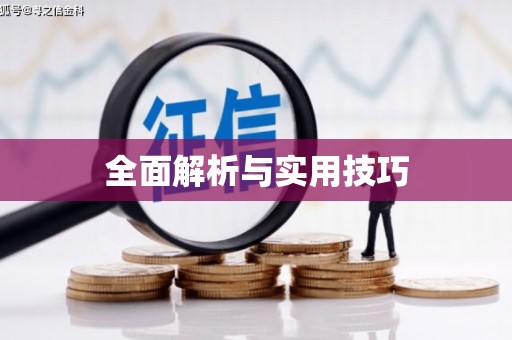士林全面解析与实用技巧