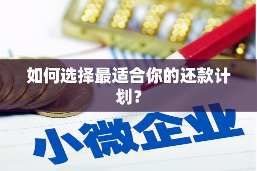 士林如何选择最适合你的还款计划？