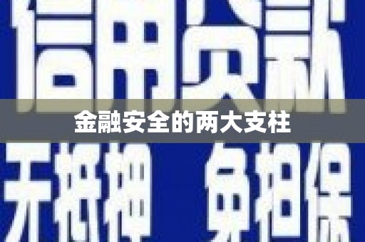 士林金融安全的两大支柱