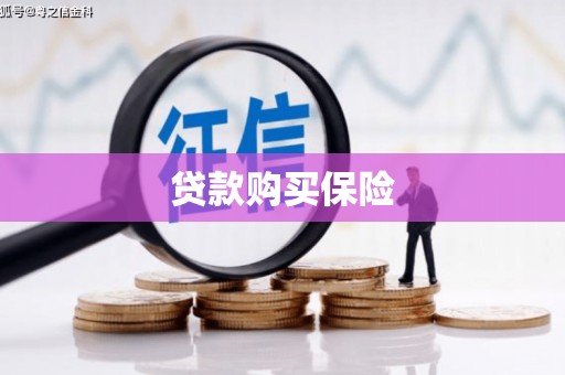 士林贷款购买保险