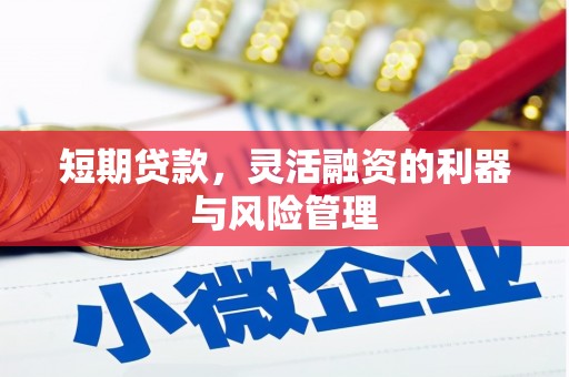 士林短期贷款，灵活融资的利器与风险管理