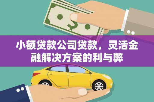 士林小额贷款公司贷款，灵活金融解决方案的利与弊