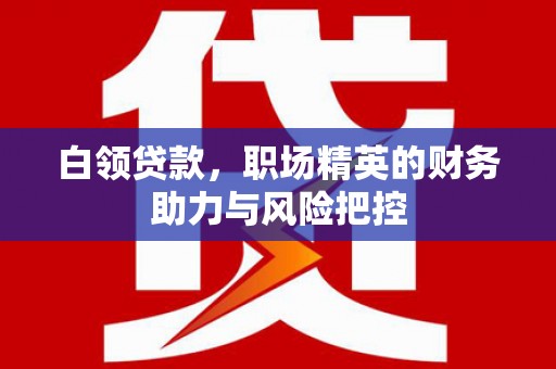 士林白领贷款，职场精英的财务助力与风险把控